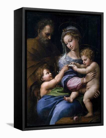 The Madonna of the Rose (Madonna Della Ros), C. 1520-Raphael-Framed Premier Image Canvas