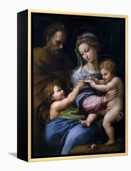 The Madonna of the Rose (Madonna Della Ros), C. 1520-Raphael-Framed Premier Image Canvas