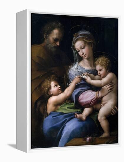 The Madonna of the Rose (Madonna Della Ros), C. 1520-Raphael-Framed Premier Image Canvas