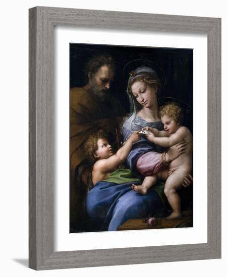 The Madonna of the Rose (Madonna Della Ros), C. 1520-Raphael-Framed Giclee Print