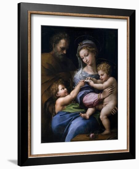 The Madonna of the Rose (Madonna Della Ros), C. 1520-Raphael-Framed Giclee Print