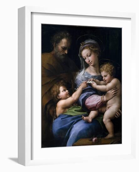 The Madonna of the Rose (Madonna Della Ros), C. 1520-Raphael-Framed Giclee Print