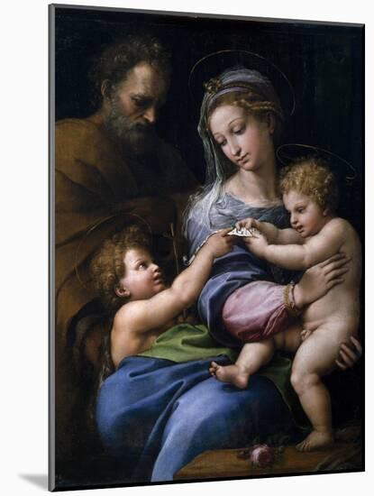 The Madonna of the Rose (Madonna Della Ros), C. 1520-Raphael-Mounted Giclee Print