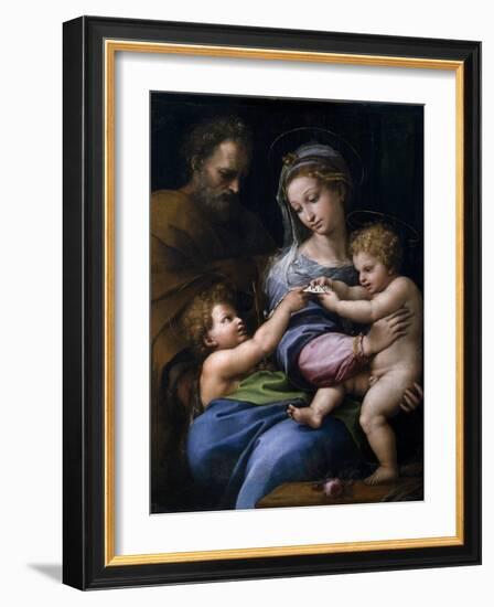 The Madonna of the Rose (Madonna Della Ros), C. 1520-Raphael-Framed Giclee Print