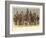 The Madras Army, and Troops under the Government of India-Alfred Crowdy Lovett-Framed Giclee Print