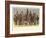 The Madras Army, and Troops under the Government of India-Alfred Crowdy Lovett-Framed Giclee Print