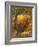 The Magic Apple Tree-Samuel Palmer-Framed Giclee Print