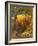 The Magic Apple Tree-Samuel Palmer-Framed Giclee Print