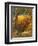 The Magic Apple Tree-Samuel Palmer-Framed Giclee Print