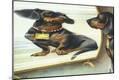 Giclee Print