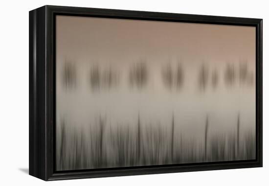 The magic of a foggy morning-Yvette Depaepe-Framed Premier Image Canvas