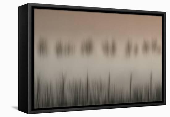The magic of a foggy morning-Yvette Depaepe-Framed Premier Image Canvas