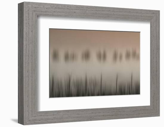 The magic of a foggy morning-Yvette Depaepe-Framed Photographic Print