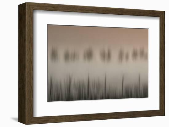 The magic of a foggy morning-Yvette Depaepe-Framed Photographic Print