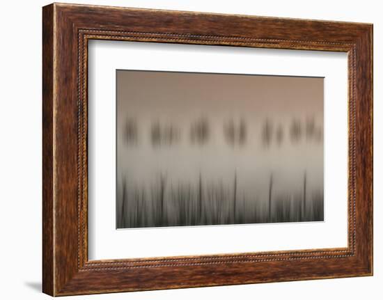 The magic of a foggy morning-Yvette Depaepe-Framed Photographic Print