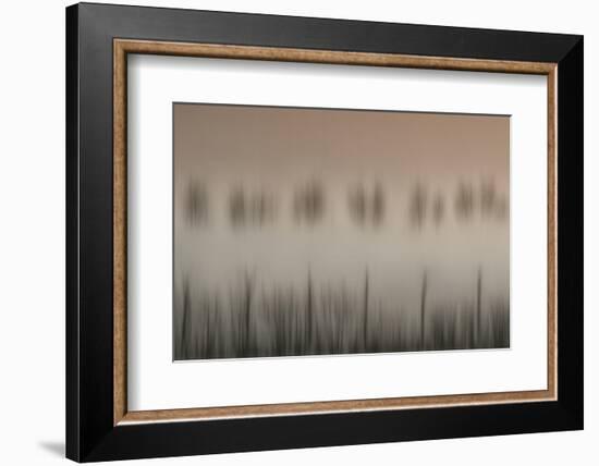 The magic of a foggy morning-Yvette Depaepe-Framed Photographic Print