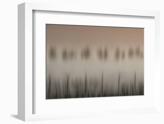 The magic of a foggy morning-Yvette Depaepe-Framed Photographic Print