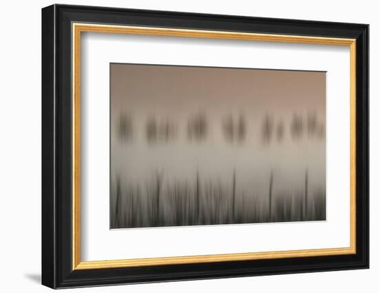 The magic of a foggy morning-Yvette Depaepe-Framed Photographic Print