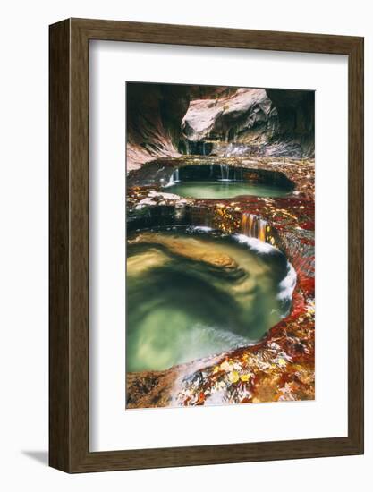 The Magical Subway, Autumn Zion National Park, Natural Wonder, Southern Utah-Vincent James-Framed Photographic Print