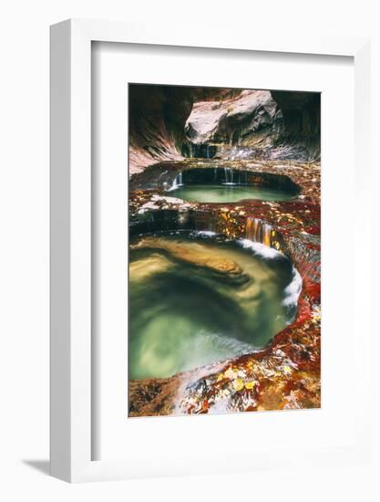 The Magical Subway, Autumn Zion National Park, Natural Wonder, Southern Utah-Vincent James-Framed Photographic Print