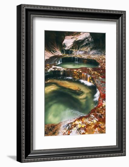 The Magical Subway, Autumn Zion National Park, Natural Wonder, Southern Utah-Vincent James-Framed Photographic Print