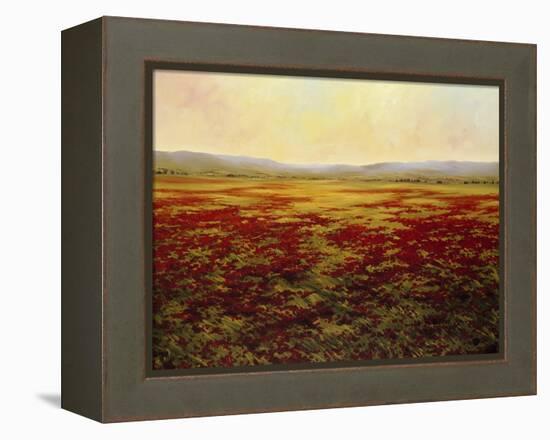 The Magnificent Season of Autumn B-Tim Howe-Framed Premier Image Canvas