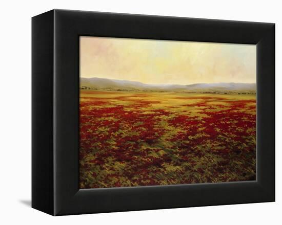 The Magnificent Season of Autumn B-Tim Howe-Framed Premier Image Canvas