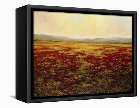 The Magnificent Season of Autumn B-Tim Howe-Framed Premier Image Canvas