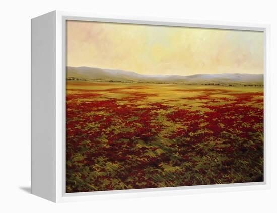 The Magnificent Season of Autumn B-Tim Howe-Framed Premier Image Canvas