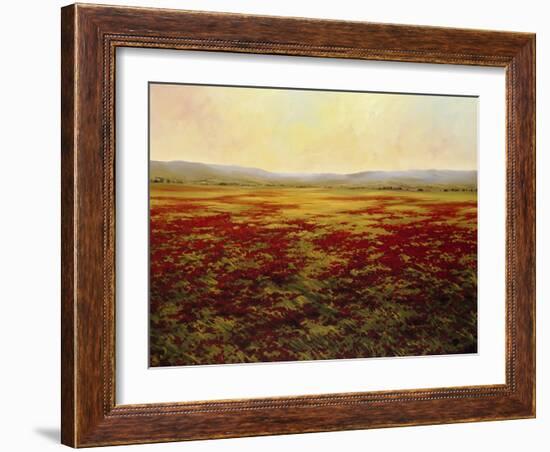 The Magnificent Season of Autumn B-Tim Howe-Framed Premium Giclee Print