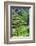 The magnificent Tegallalang Rice Terraces viewed from above in a forest of palm trees.-Greg Johnston-Framed Photographic Print