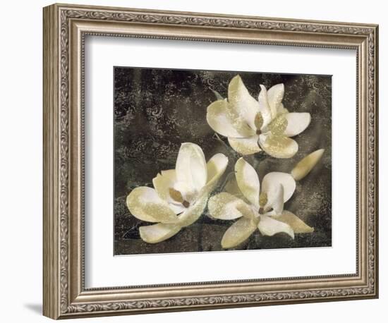 The Magnolia Tree-John Seba-Framed Premium Giclee Print