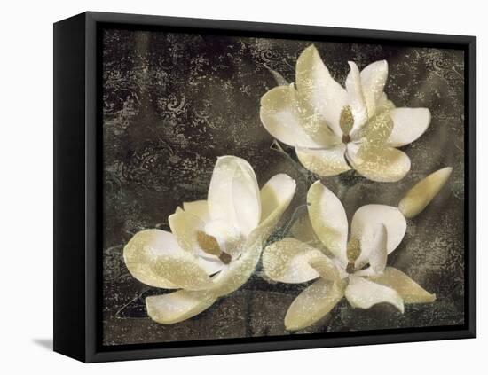 The Magnolia Tree-John Seba-Framed Stretched Canvas
