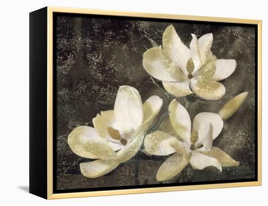 The Magnolia Tree-John Seba-Framed Stretched Canvas