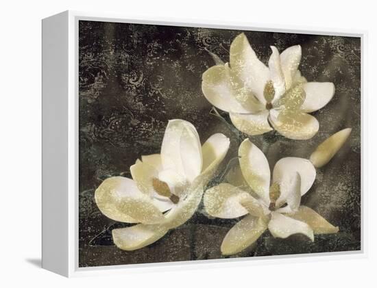 The Magnolia Tree-John Seba-Framed Stretched Canvas