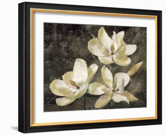The Magnolia Tree-John Seba-Framed Art Print