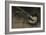 The Magpie-Joseph Crawhall-Framed Giclee Print