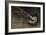 The Magpie-Joseph Crawhall-Framed Giclee Print