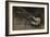 The Magpie-Joseph Crawhall-Framed Giclee Print