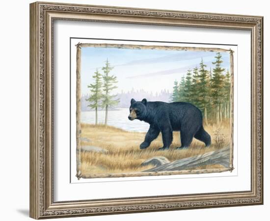 The Majestic Bear-Ron Jenkins-Framed Art Print