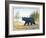 The Majestic Bear-Ron Jenkins-Framed Art Print