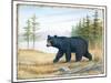 The Majestic Bear-Ron Jenkins-Mounted Art Print