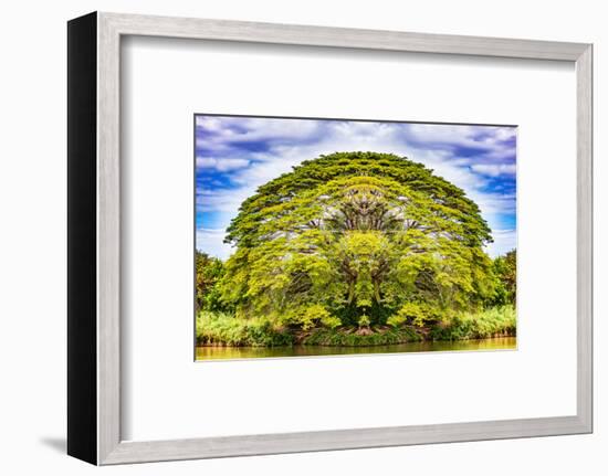 The Majestic Tree-Philippe Sainte-Laudy-Framed Photographic Print