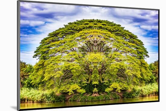 The Majestic Tree-Philippe Sainte-Laudy-Mounted Photographic Print