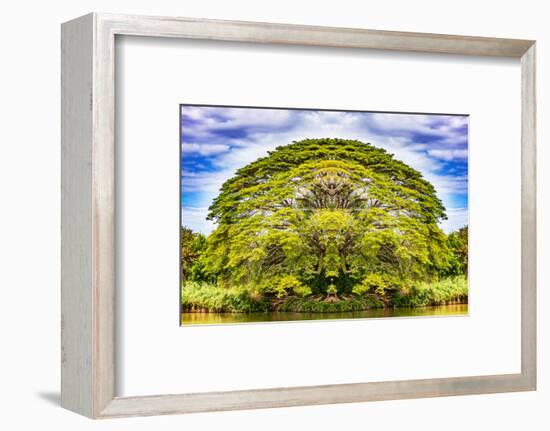 The Majestic Tree-Philippe Sainte-Laudy-Framed Photographic Print