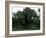 The Major Oak, Sherwood Forest, Nottinghamshire, England, United Kingdom-Jenny Pate-Framed Photographic Print