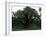 The Major Oak, Sherwood Forest, Nottinghamshire, England, United Kingdom-Jenny Pate-Framed Photographic Print