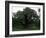 The Major Oak, Sherwood Forest, Nottinghamshire, England, United Kingdom-Jenny Pate-Framed Photographic Print