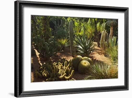 The Majorelle Gardens, Marrakesh, Morocco, North Africa, Africa-Jochen Schlenker-Framed Photographic Print