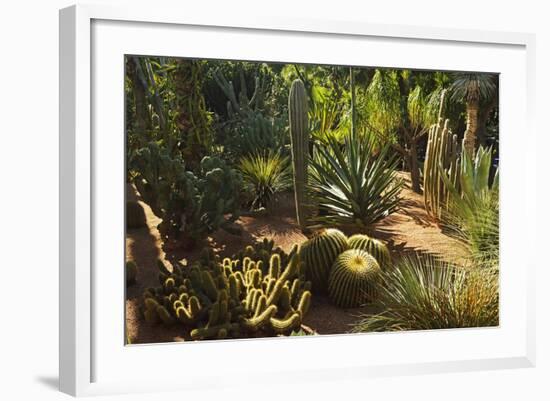 The Majorelle Gardens, Marrakesh, Morocco, North Africa, Africa-Jochen Schlenker-Framed Photographic Print